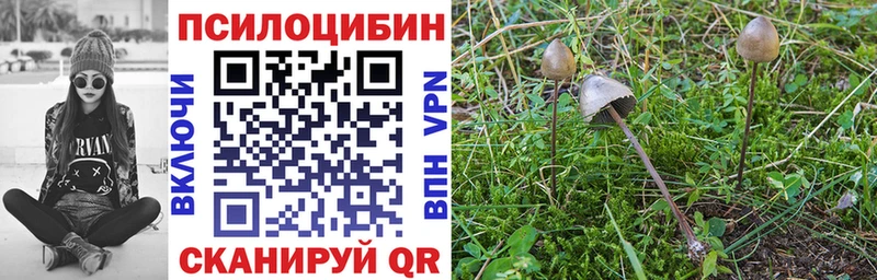 Псилоцибиновые грибы MAGIC MUSHROOMS  как найти закладки  Тырныауз 